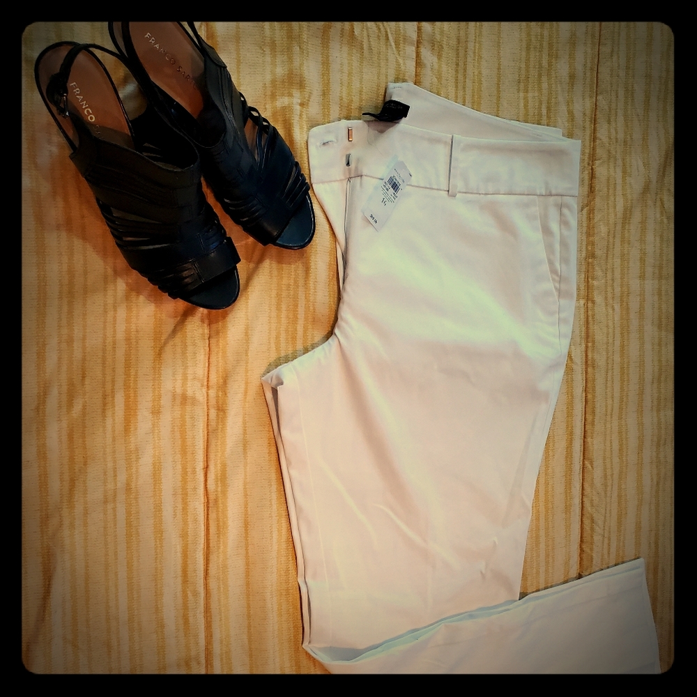 Ann Taylor pants size 16